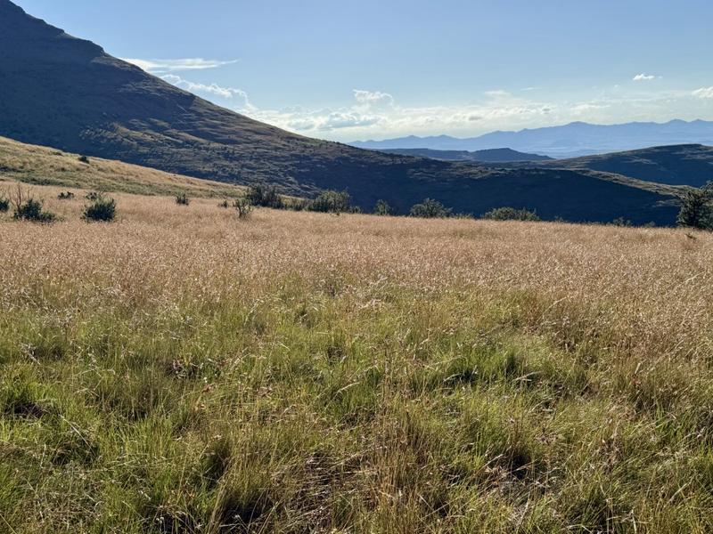 0 Bedroom Property for Sale in Fouriesburg Free State